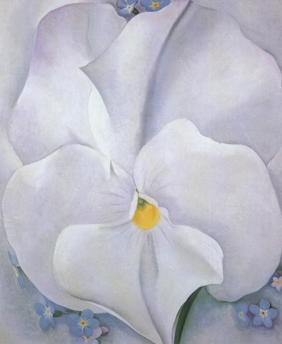 Georgia O'Keeffe White Pansy